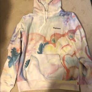 Supreme landscape hoodie